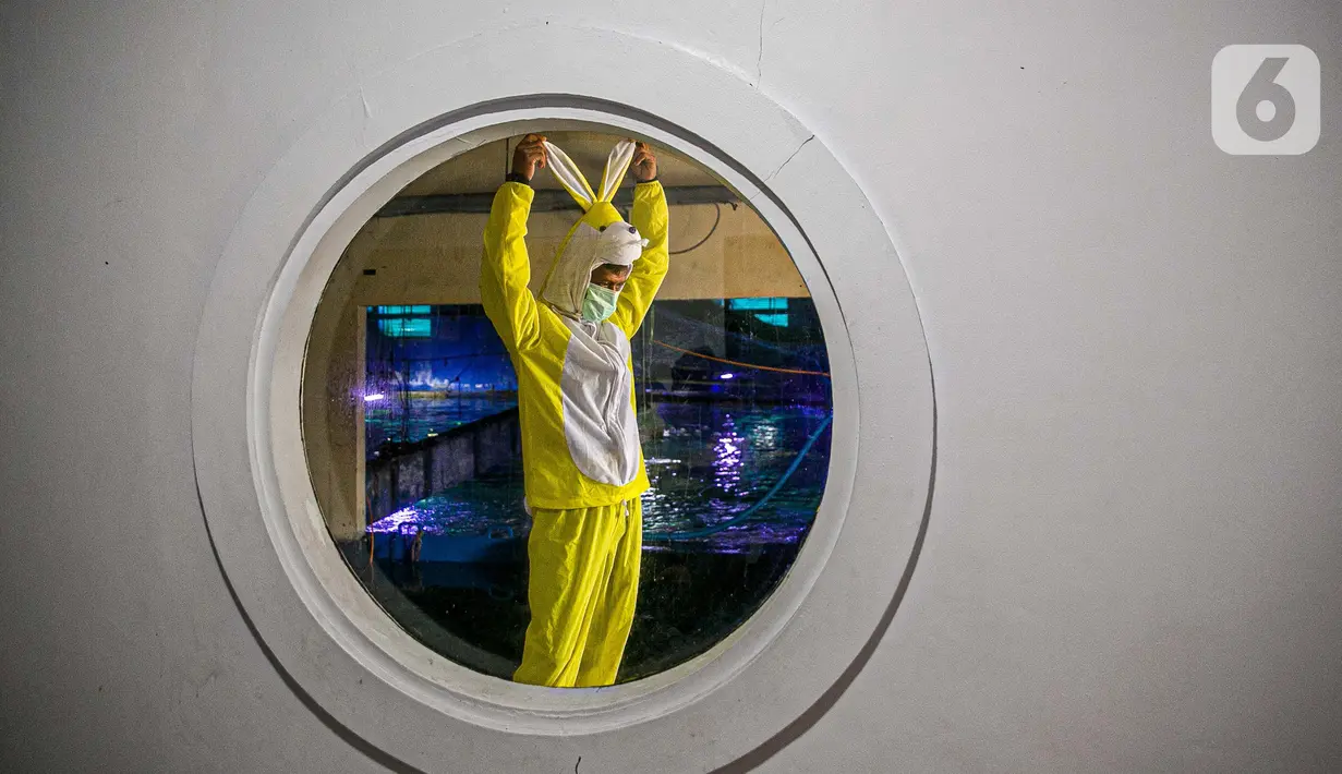 Penyelam dengan kostum kelici bersiap sebelum tampil dalam pertunjukan Rabbit Underwater Show In Mission Save The Ocean di Sea World Ancol Jakarta, Selasa (30/3/2021). Pertunjukan digelar untuk mengedukasi warga dalam menjaga ekosistem laut dari sampah atau polusi laut. (Liputan6.com/Faizal Fanani)