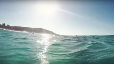 Kuta adalah anjing penyelamat yang dimiliki oleh Erin Cummings, warga asal Australia Barat. Ia senang pergi ke Pantai Esperance, tidak hanya bermain, tetapi berenang bersama lumba-lumba