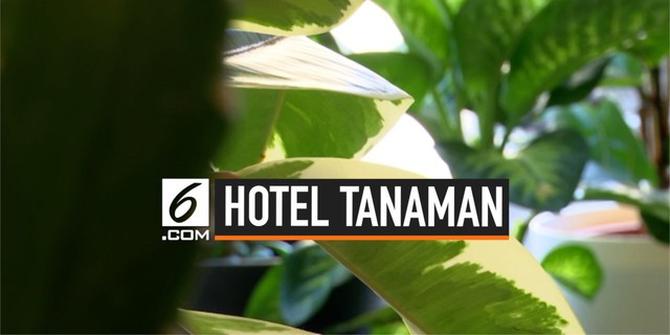 VIDEO: Mengintip Hotel Tanaman Pertama di Dunia