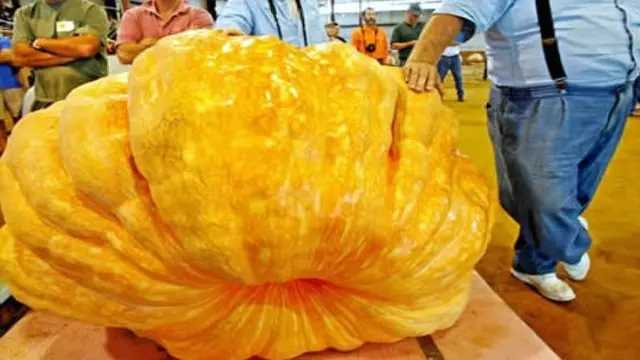 6 Foto Sayuran dan Buah Terbesar yang Pernah Tumbuh di Bumi