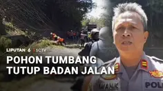 Pohon Tumbang Tutup Badan Jalan