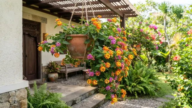Tanaman Pot yang Tahan Panas di Depan Rumah