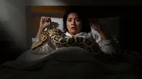 Terbangun Tengah Malam, Wanita Ini Kaget Ada Ular Piton 2,5 Meter di Dadanya