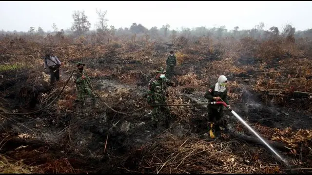 Kebakaran hutan dan lahan di Kalimantan dan Sumatera masih belum bisa teratasi. Menteri Lingkungan Hidup dan Kehutanan Siti Nurbaya menilai, kondisi ini terjadi lantaran kurang tegasnya para penegak hukum di Indonesia.