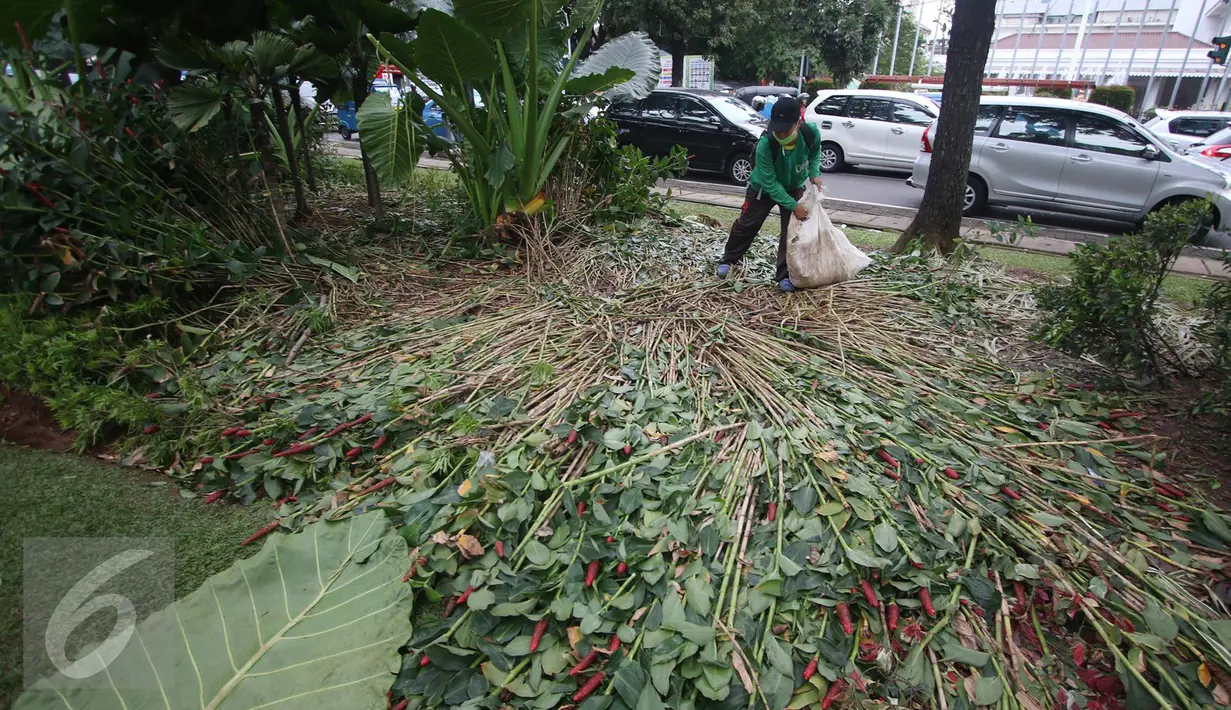 Pekerja membersihkan sampah berserakan di taman yang rusak di depan gedung Balai Kota Jakarta, Jumat (14/10). Taman tersebut rusak akibat banyaknya pengunjuk rasa yang menginjak-injak serta duduk di atas tanaman. (Liputan6.com/Immanuel Antonius)