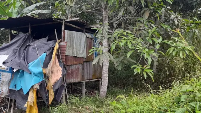 Rumah gubuk nenek Zahra di Bulungan Kaltara. Foto istimewa