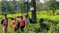 Nampak beberapa warga dari dua desa dan dua kecamatan di Garut, sebelum melakukan pengrusakan ribuan pohon teh di Kebun Avdeling Cisaruni Blok Cikandang, Cikajang, Garut, Jawa Barat. (Liputan6.com/Jayadi Supriadin)