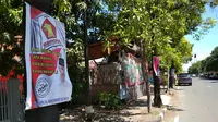 Di Balik Seruan Jangan Pilih Calon Kepala Daerah Pemaku Pohon 