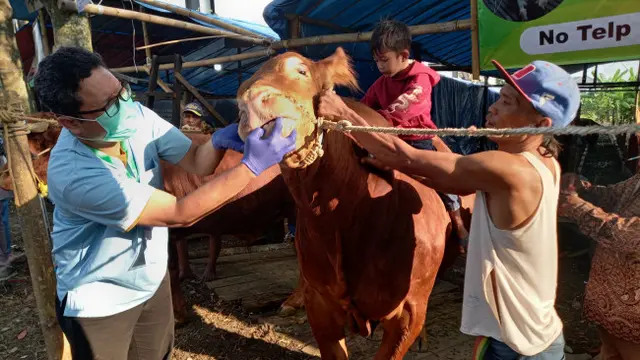 Jelang Idul Adha, Penjualan Hewan Kurban di Kota Malang Masih Lesu Pembeli