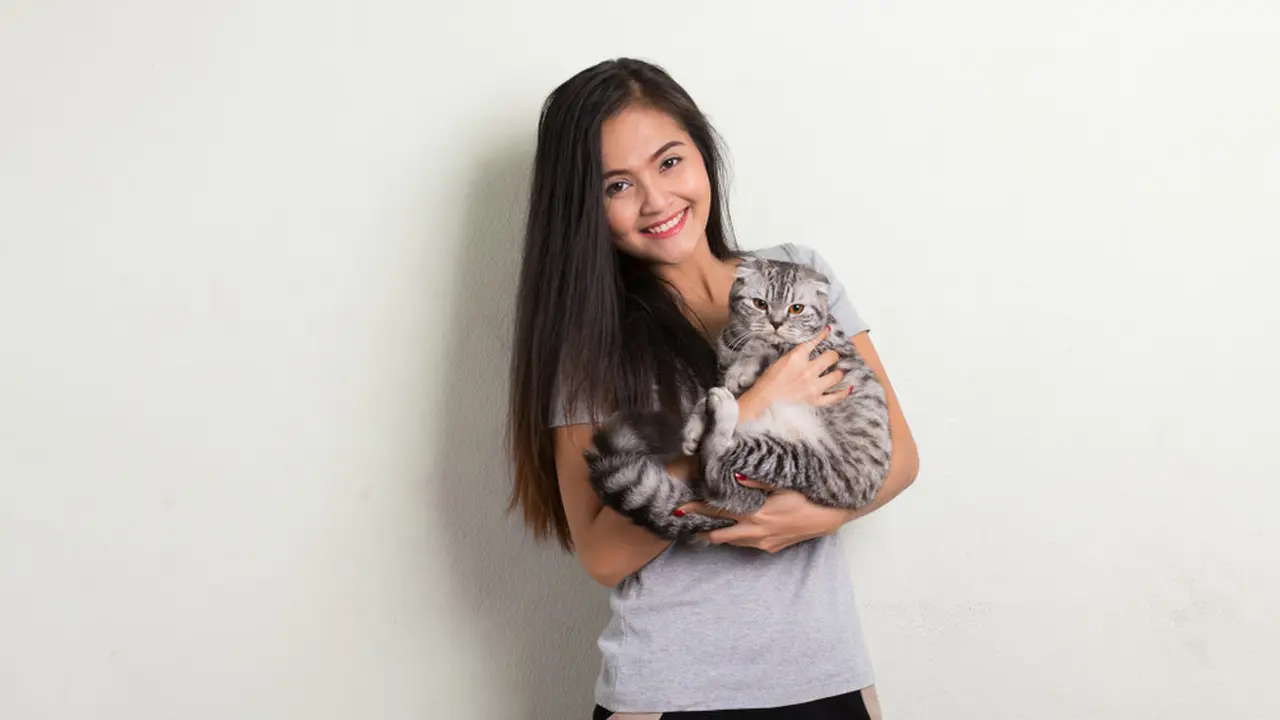 Jangan Langsung Digendong, Begini Cara Tepat Memperkenalkan Diri pada Kucing