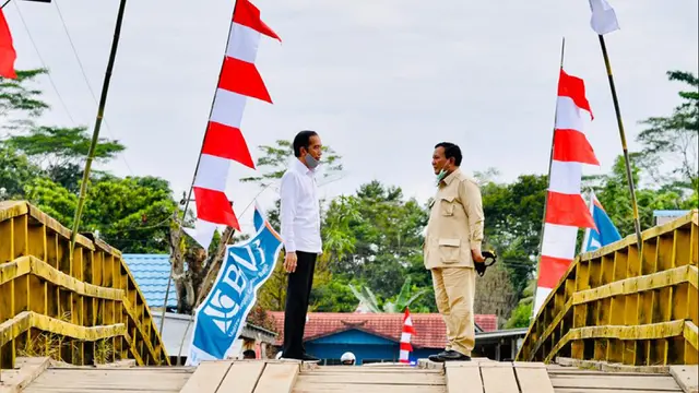 Presiden Jokowi Tinjau Lahan untuk Lambung Pangan Nasional