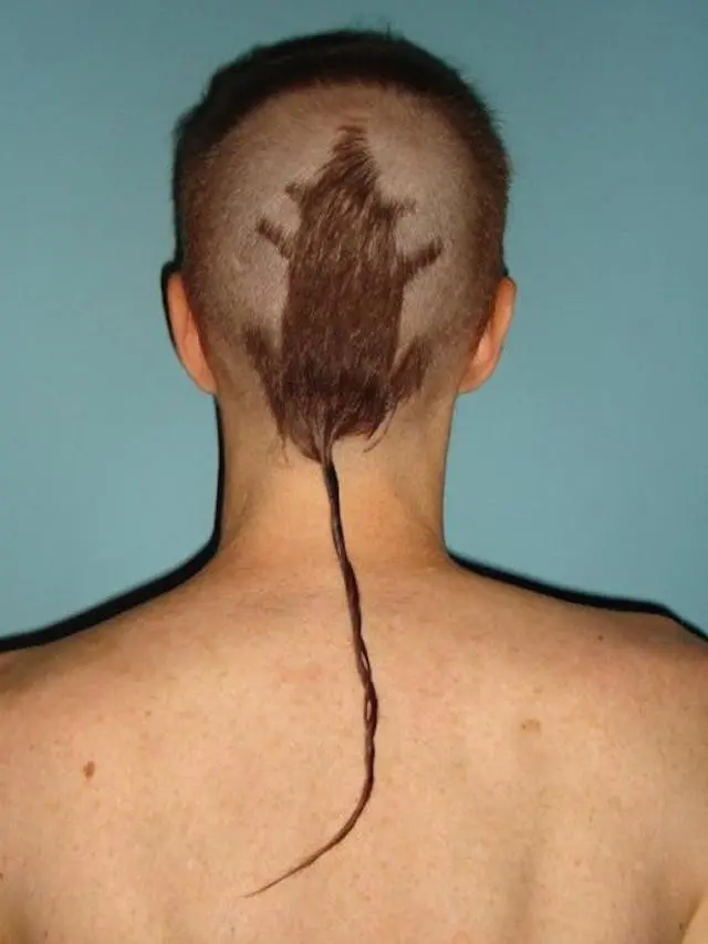 6 Gaya Potongan Rambut Orang Mirip Bentuk Hewan Ini Nyeleneh Banget
