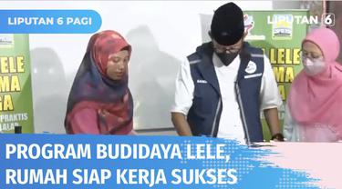 Program Rumah Siap Kerja Kemenparekraf bagi warga Jatinegara, Jakarta Timur, akhirnya membuahkan hasil. Melalui program budidaya ikan lele dalam ember, 340 kg lele dihasilkan. Warga menyuguhkan olahan bakso lele ke Menparekraf Sandiaga Uno.