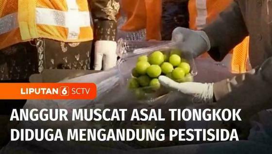VIDEO: Anggur Muscat Berbahaya? BPOM Periksa Kandungan Buah Tersebut di Pasar Lokal