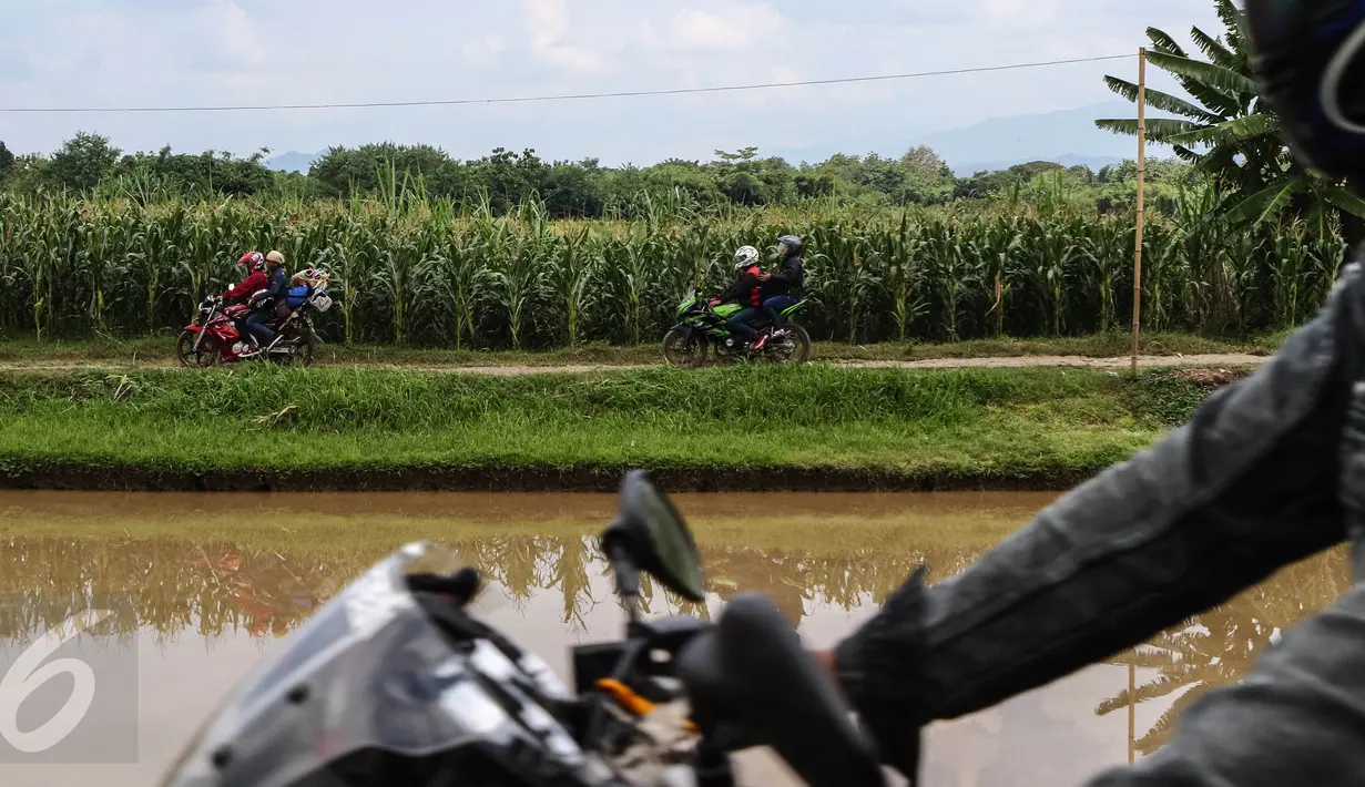 Sejumlah pemudik motor menerobos jalan perkampungan melewati ladang jagung di kawasan Ketanggungan, Kabupaten Brebes, Jateng, Senin (4/06). Jalan yang melintasi sepanjang kali ini, menjadi pemandangan bagi pemudik roda empat. (Liputan6.com/Fery Pradolo)