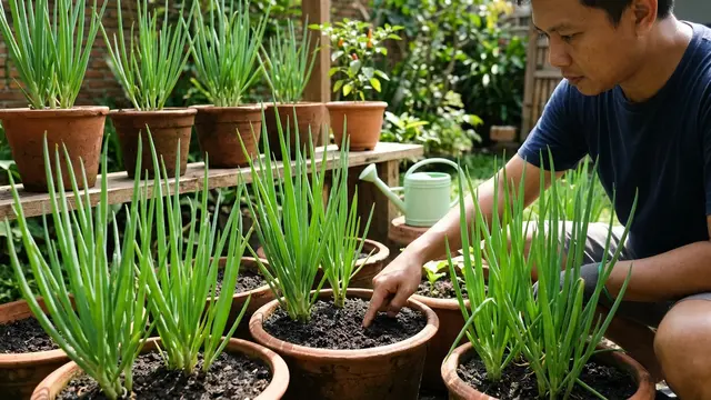 Cara Merawat Daun Bawang agar Tidak Busuk (AI Generated)