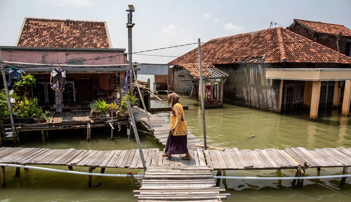 Wilayah daratan yang dulunya mayoritas, kini menjadi lautan akibat penurunan tanah dan kenaikan muka air laut setinggi 25 cm per tahun. Tampak dalam foto, seorang wanita berjalan melintasi jembatan melewati rumah-rumah yang sebagian terendam air laut akibat banjir pasang di desa Timbulsloko, Demak, Jawa Tengah pada Sabtu 18 April 2026. (DEVI RAHMAN/AFP)