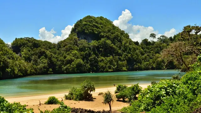 Segara Anakan, Surga Tersembunyi Dalam Hutan Pulau Sempu