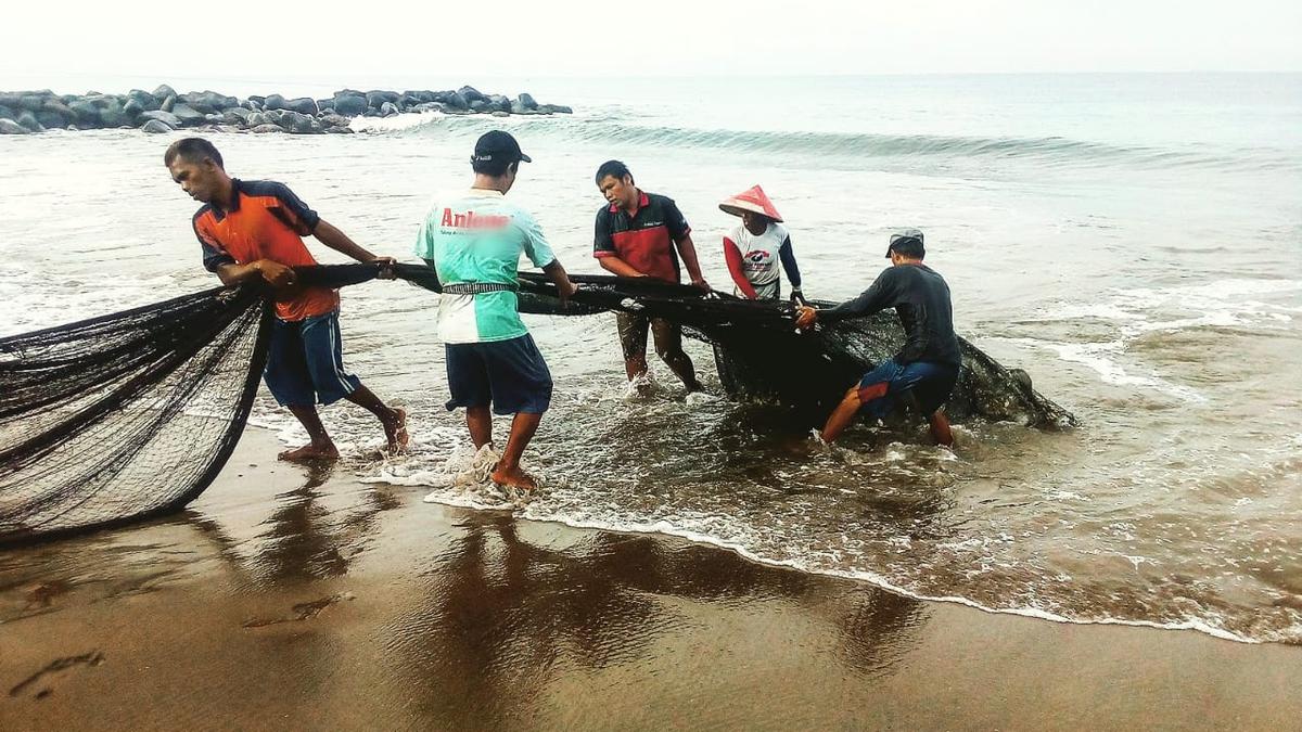 Maelo Pukek, Tradisi Turun-temurun Nelayan di Pesisir Ranah Minang