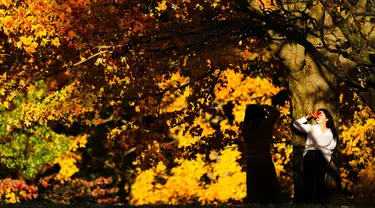 Seseorang berpose pada sore musim gugur di Taman Sejarah Nasional Valley Forge, Valley Forge, Pennsylvania, Amerika Serikat, 1 November 2021. Musim gugur umumnya terjadi sekitar bulan Agustus hingga Oktober. (AP Photo/Matt Rourke)