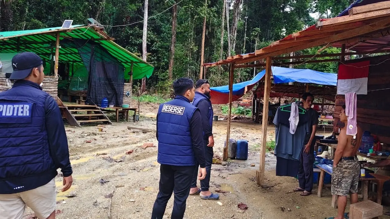wn china menambang emas ilegal di keerom papua