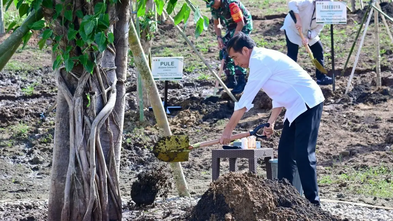 Jokowi Tanam Pohon di NTT