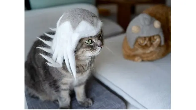 6 Potret Kucing Pakai Topi Bergaya Rambut Anime, Gokil Banget