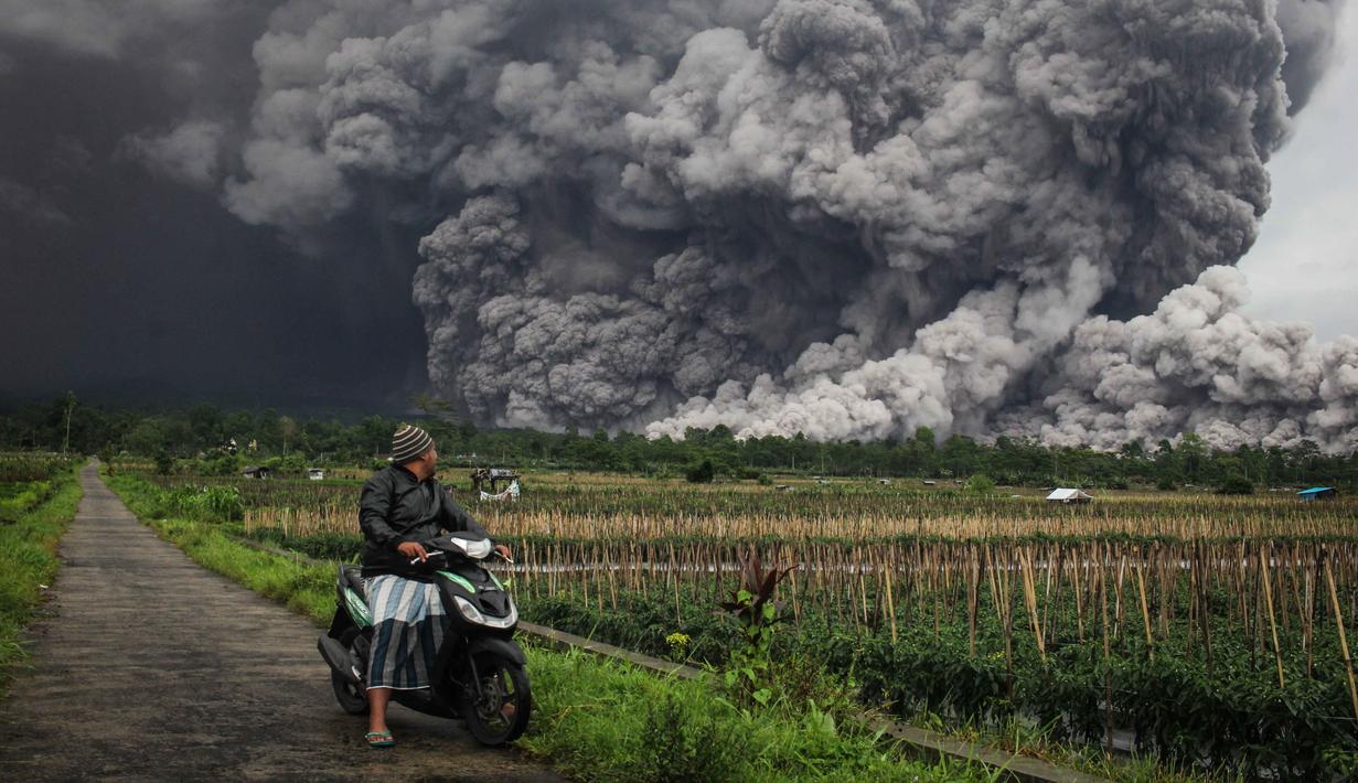 Warga yang berada dalam radius bahaya, termasuk di Desa Supiturang, segera dievakuasi. Tampak dalam foto, seorang pria memandang aliran piroklastik selama letusan Gunung Semeru di Lumajang, Jawa Timur, pada 19 November 2025. (Agus Harianto/AFP)