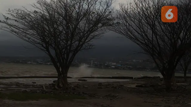 ombak di Teluk Palu