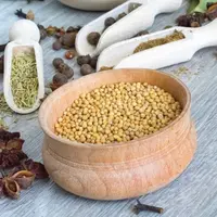 Bumbu dapur ketumbar, ilsutrasi/copyright pixabay.com/Notovyj