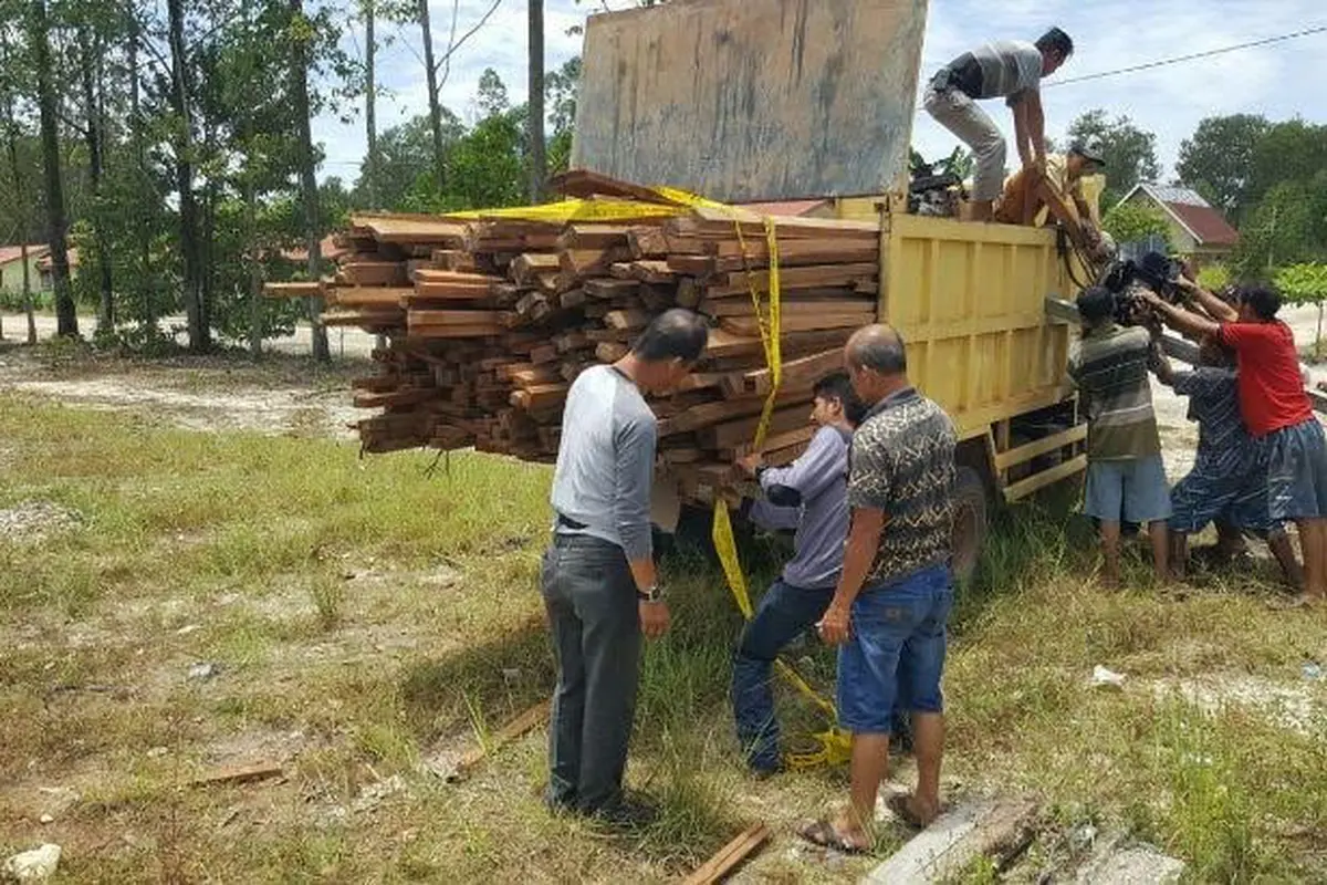 Beking Pembalakan Liar 