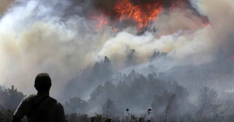 Seorang relawan melihat kebakaran hutan yang melanda Bukit San Marcos di wilayah munisipalitas Villa de Leyva, Departemen Boyacá, Kolombia, pada 20 September 2026.(LUIS LIZARAZO / AFP)