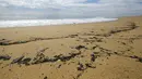 Minyak mencemari sebuah pantai di Pantai Newport, California, Amerika Serikat, 4 Oktober 2021. Tumpahan minyak terjadi akibat kebocoran pipa pengebor minyak. (AP Photo/Ringo H.W. Chiu)