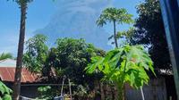 Erupsi Gunung Ili Lewotolok, Lembata, NTT. (Foto: Istimewa)