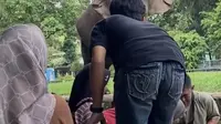 Bocah Jatuh ke Kandang Gajah Ragunan, Pengelola: Ada Indikasi Dijadikan Konten