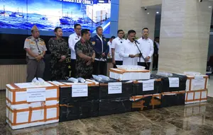 Benih Lobster Rp 5,8 Miliar Gagal Diselundupkan ke Luar Negeri