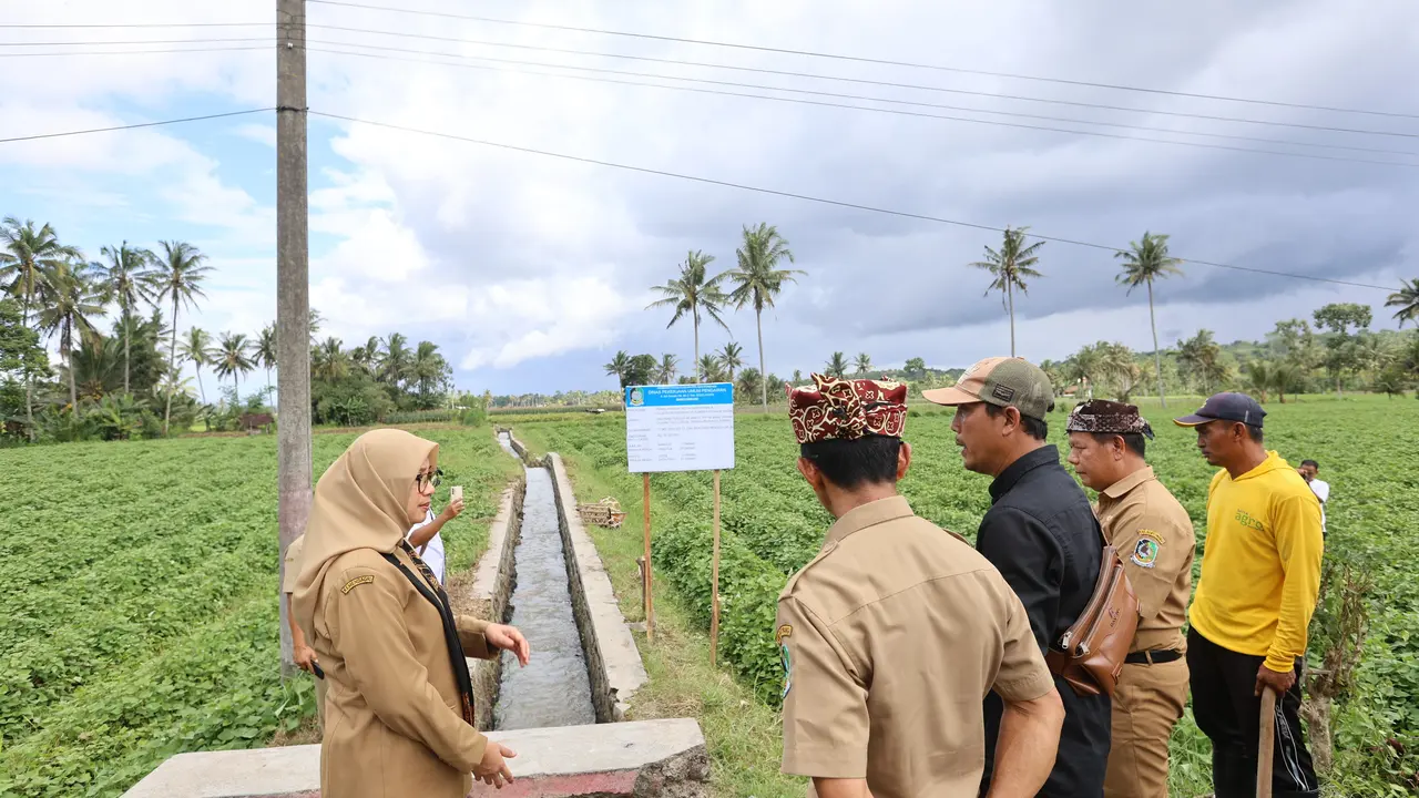 Dukung Ketahanan Pangan, Banyuwangi Bangun dan Revitalisasi 123 KM Jaringan Irigasi di 25 Kecamatan