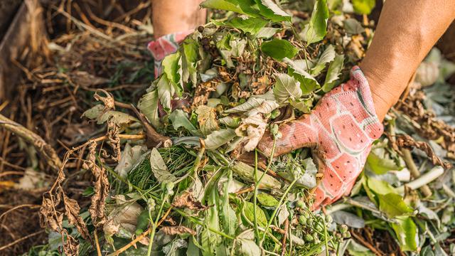 Pembuatan Pupuk Kompos.