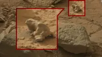 Foto-foto Misterius MARS dari Iguana hingga Patung Barrack Obama (NASA/CNN)