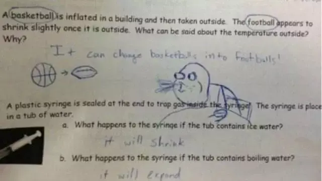 6 Jawaban Murid Pakai Gambar di Soal Bahasa Inggris Ini Bikin Tepuk Jidat