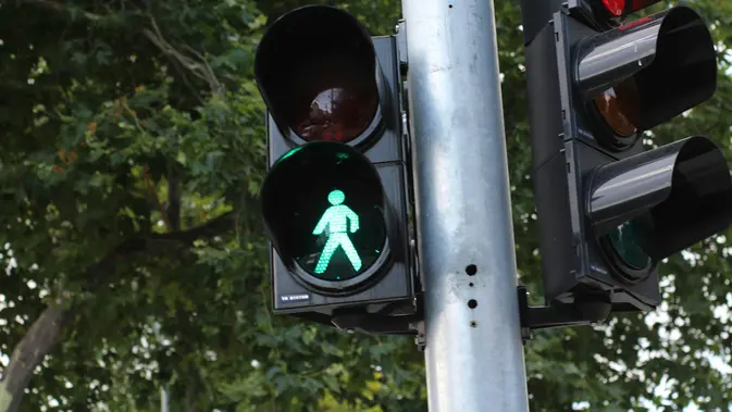 Penganut Teori Konspirasi Sebut Lampu Lalu Lintas Bisa Membunuh Manusia