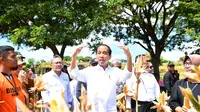 Presiden Joko Widodo atau Jokowi mengatakan harga jagung saat ini tengah anjlok karena adanya panen raya di sejumlah daerah. (Lizsa Egeham).