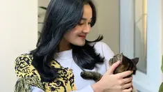 Ashel JKT48 memang menyukai kucing. Ia tampak begitu gemas saat bermain-main dengan kucing peliharannya. Tatapan sayang saat melihat kucing terlihat jelas dari foto Ashel di atas. Ashel terlihat sumringah saat bisa menggendong kucing yang bikin gemas. (Liputan6.com/IG/@jkt48.ashel)