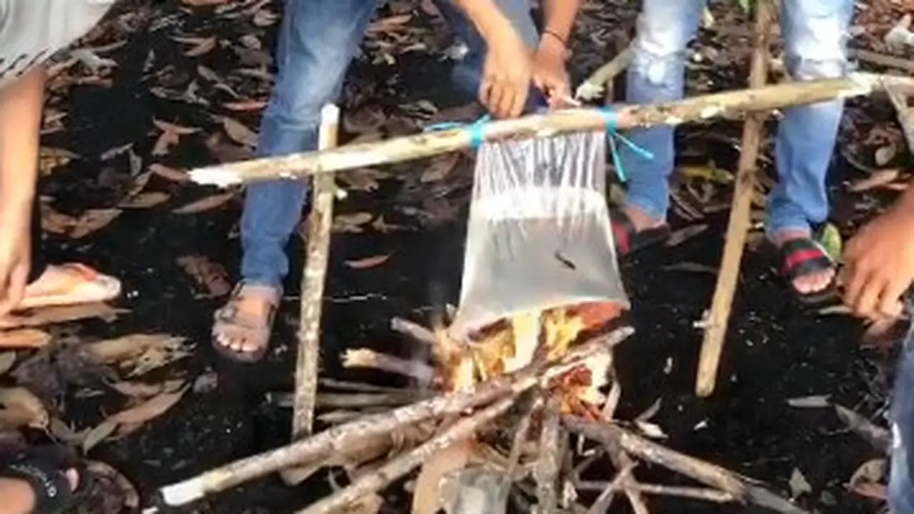 Adu Ikan Cupang di Tiktok, Aksi Dari Remaja Ini Dikecam Warganet