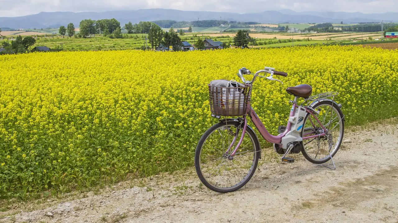 [Reservasi] Kebun dengan latar Gunung Hokkaido Jepang