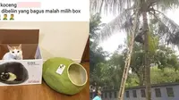 8 Potret Kocak Benda Tidak Berguna, Jadi Sia-Sia Keberadaannya