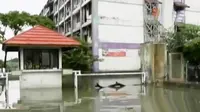 Banjir rendam Rumah Susun Tipar Cakung, sementara itu menjalang penertiban, Pemprov DKI Jakarta Pasang CCTV di Kalijodo.  