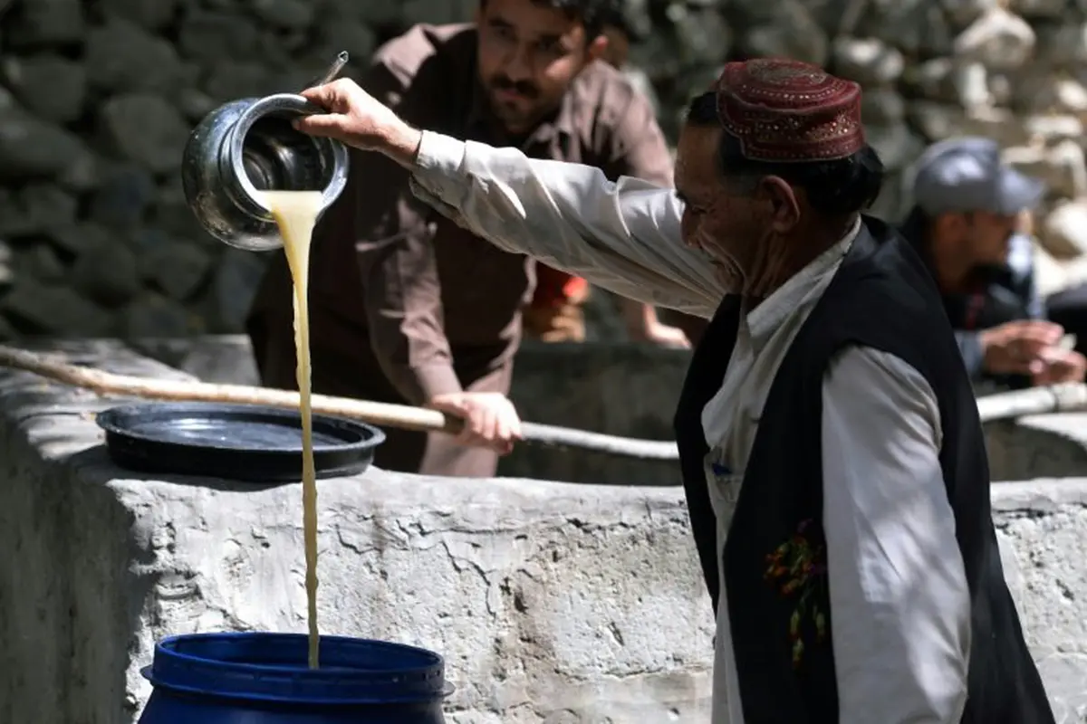 Mengintip Tempat Pembuatan Wine Lokal di Desa Terpencil Pakistan