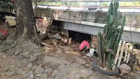 Nunik, bukan nama asli, dan keluarga tinggal di kolong tol usai kediamannya di kawasan Kalijodo, Jakarta Barat, digusur. (Merdeka/Rahmat Baihaqi)