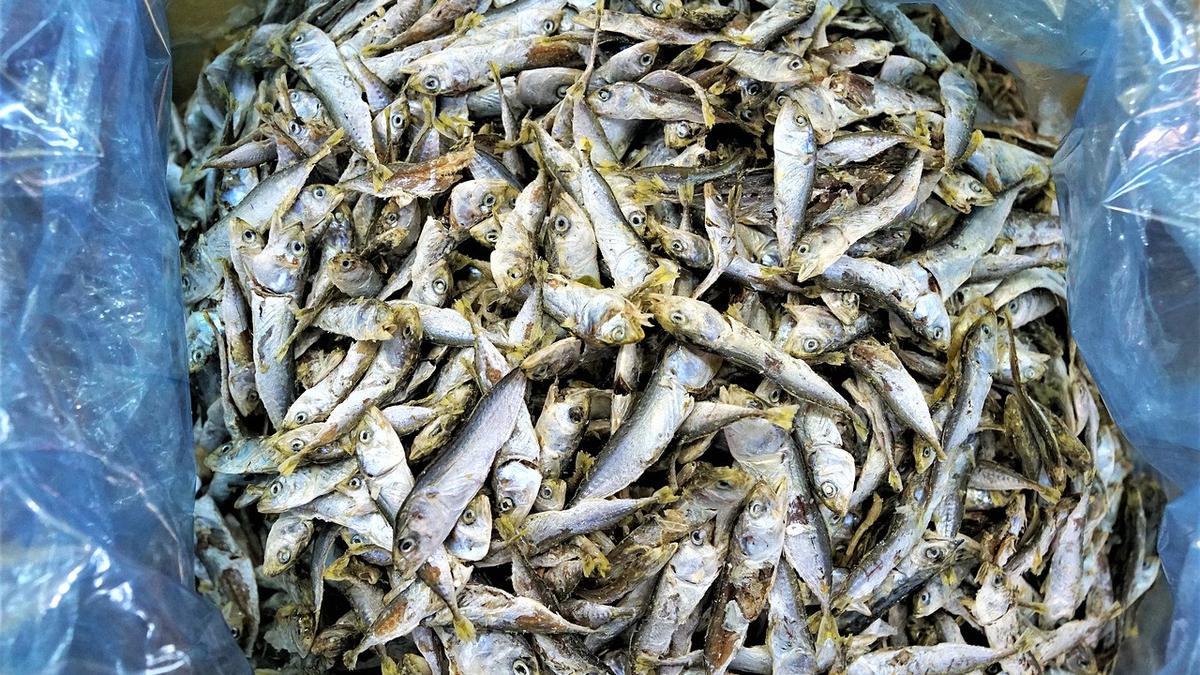 6 Cara Mengolah Ikan Asin agar Tidak Terlalu Asin, Tak Mengurangi Kelezatan dan Tekstur Renyah